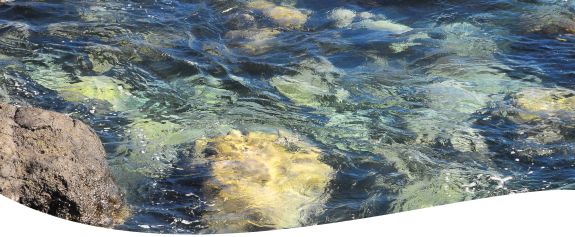 Perspektive > Impuls > Ziel